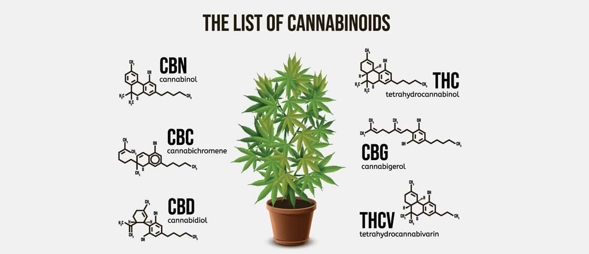 types of cannabinoid products