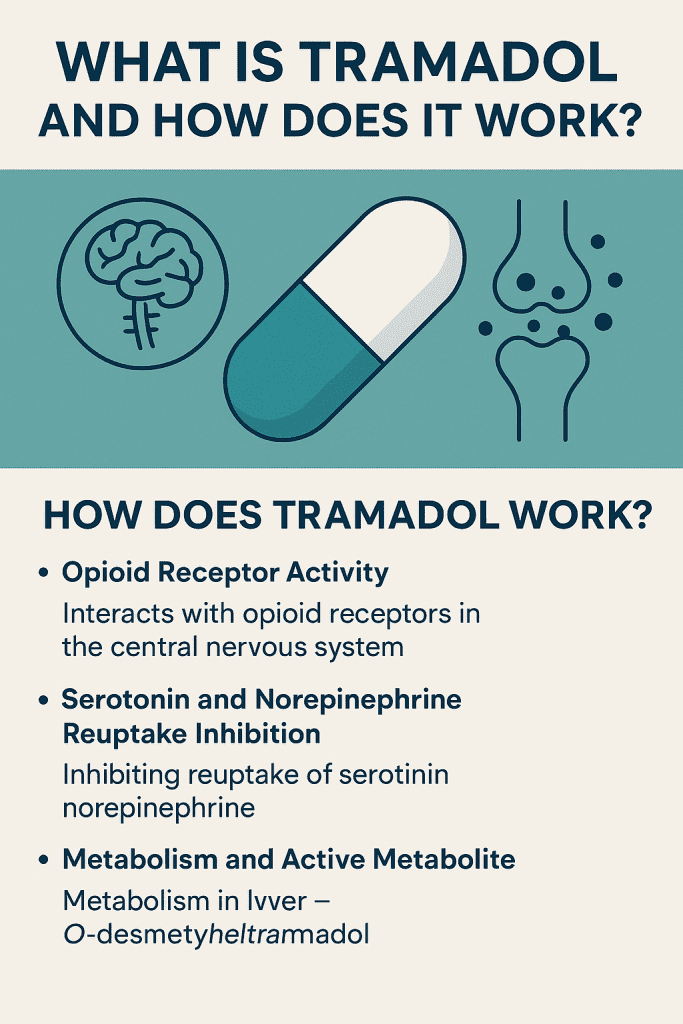 Infographic explaining how tramadol works, including opioid receptor interaction, serotonin and norepinephrine reuptake inhibition, and metabolism.